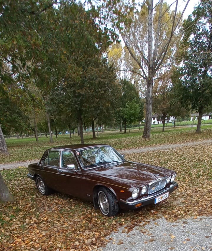 2025-10-05 Herbstausfahrt